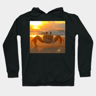 Funny Crab Hoodie